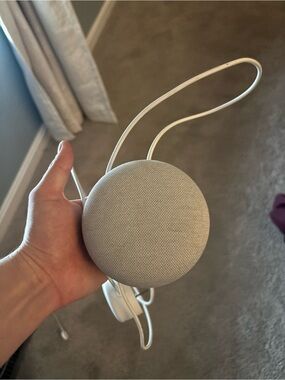 Google home with Light Gray Fabric